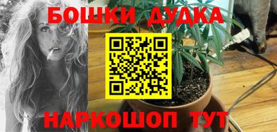 гидра Славгород