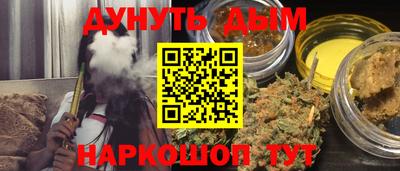 гидра Славгород