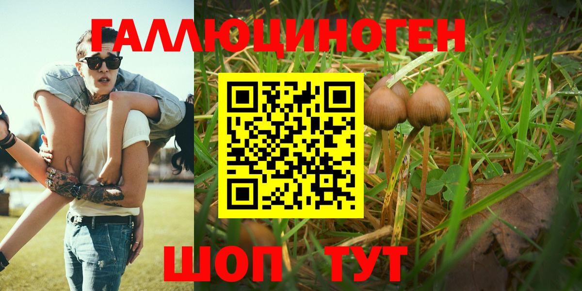 Галлюциногенные грибы прущие грибы  Псилоцибиновые грибы MAGIC MUSHROOMS  Вход с VPN  Батайск 