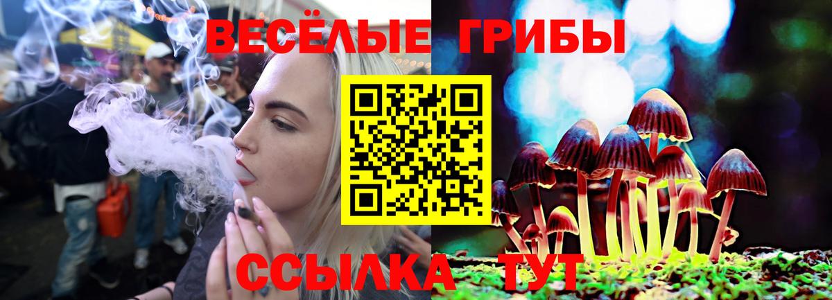 Галлюциногенные грибы MAGIC MUSHROOMS Батайск